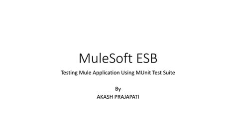 mule soft testing scenarios|Test Mule Applications .